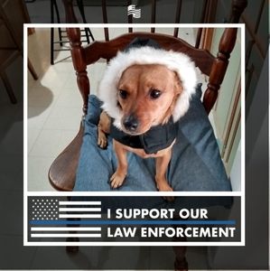 Meet your Posher, Joyce